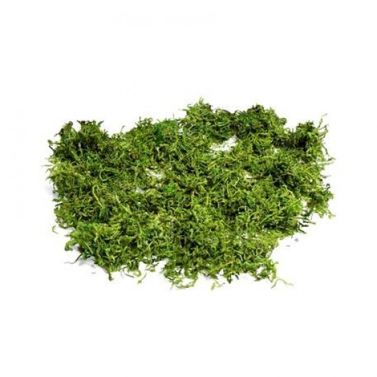 BEAUTY HOME ΦΥΣΙΚΑ ΒΡΥΑ 50GR      