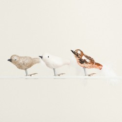 BEAUTY HOME ΠΟΥΛΙΑ ΣΕΤ 3 ΤΜΧ 3 X 8 X 3,5 CM      