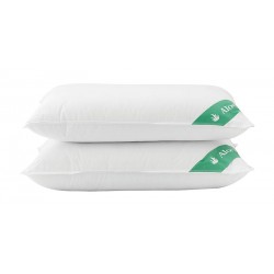 ΜΑΞΙΛΑΡΙ ΥΠΝΟΥ ΜΕ ALOE VERA ART 4002 ΜΕΤΡΙΟ 50X70 ΛΕΥΚΟ BEAUTY HOME