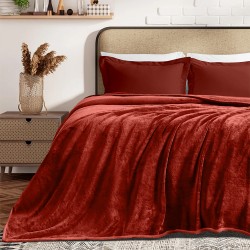 ΚΟΥΒΕΡΤΑ ΒΕΛΟΥΤΕ COBERTOR BORDO 160X220