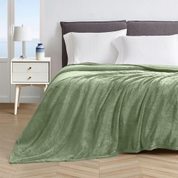 ΚΟΥΒΕΡΤΑ ΒΕΛΟΥΤΕ PELLO MINT 220X240
