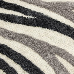 ΠΑΤΑΚΙ ΜΠΑΝΙΟΥ CANARD GREY 60X100