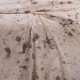 ΣΕΤ ΣΕΝΤΟΝΙΑ ΜΟΝΑ (Λ) PORCHIA BEIGE ULTRA LINE