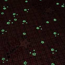 ΖΕΥΓΟΣ ΜΑΞΙΛΑΡΟΘΗΚΕΣ ΦΩΣΦΟΡΙΖΕ 50X70 CLUSTER PINK