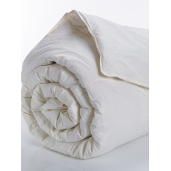 ΠΑΠΛΩΜΑ WHITE COMFORT 160X240 ECO DOWN LIKE