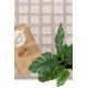 ΧΑΛΙ DUNE 608 561 ROYAL CARPET - 80 X 150 CM