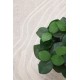 ΧΑΛΙ ORGANIC 249 CREAM ROYAL CARPET - 133 X 190 CM
