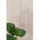 ΜΟΝΤΕΡΝΟ ΧΑΛΙ SOLID 1391 CREAM ROYAL CARPET - 160 X 230 CM