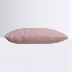 ΜΑΞΙΛΑΡΟΘΗΚΕΣ MENTA 25-POWDER 50X70